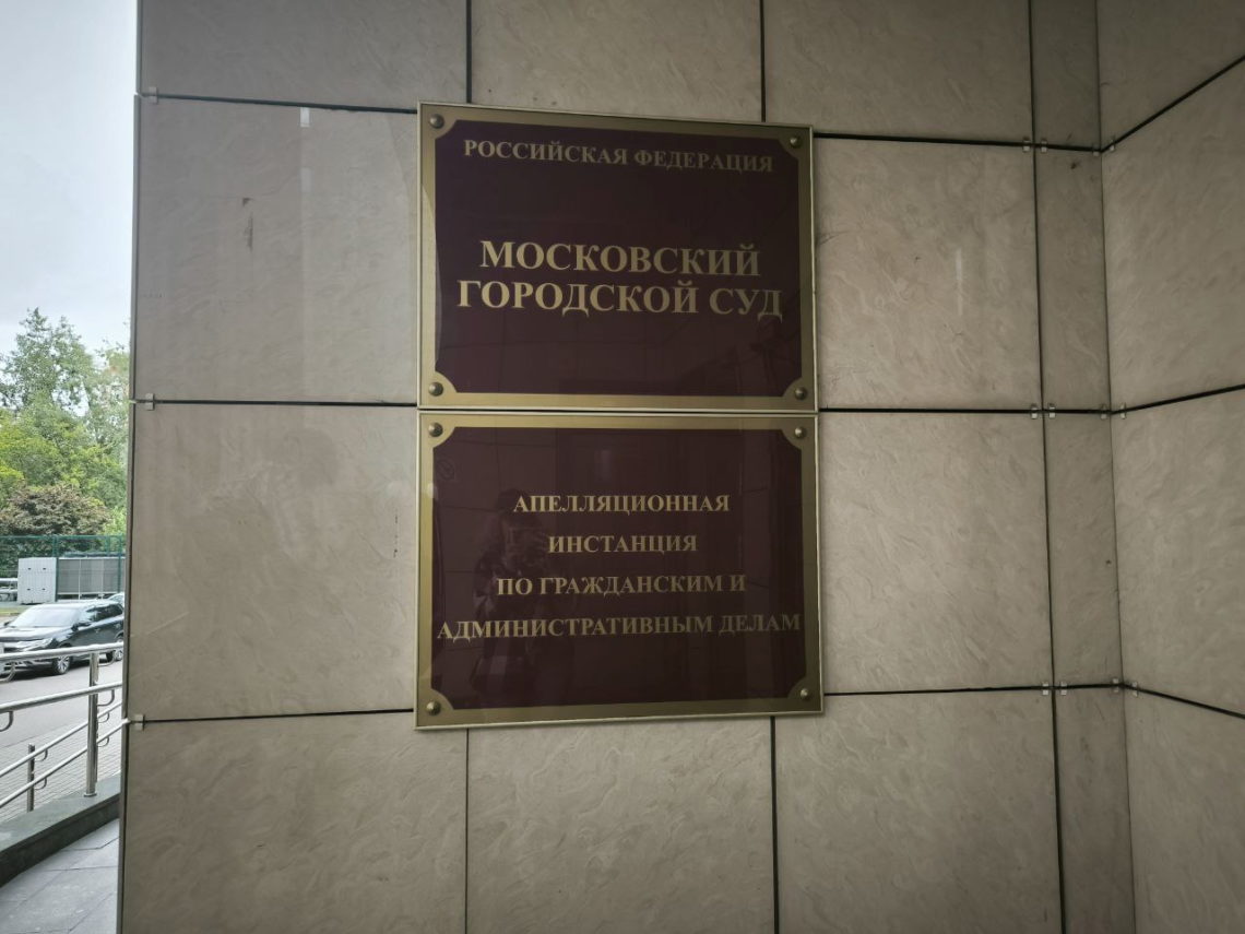 Ганнушкина (апелляция): адвокат жалуется на формальность процесса